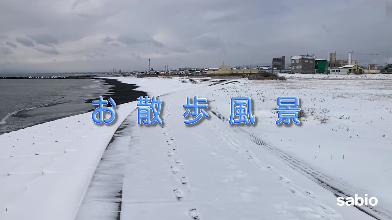 2026.01.10　お散歩風景