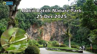 Bukit Batok Nature Parkwildlife Residents I Met 25 Dec 2025