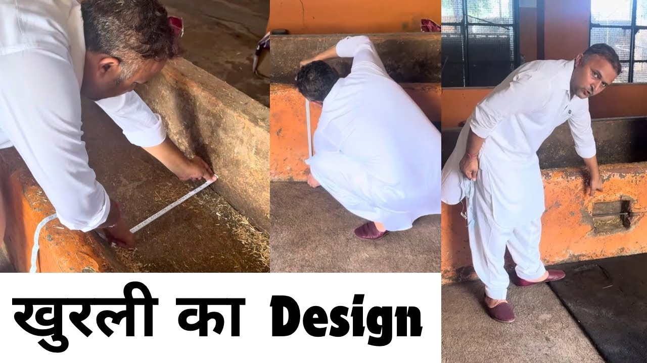 खुरली (खोर) बनाने का सही तरीक़ा और उसका माप - पशुपालकों के लिए बहुत ज़रूरी 