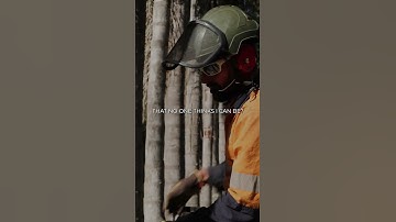 #tree #arborist #arboristlife