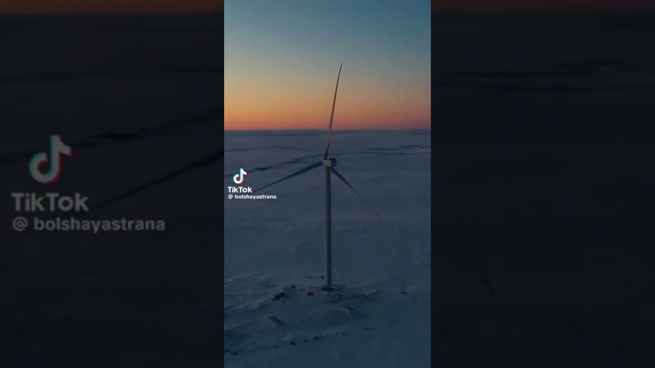 Дожить бы до весны ...