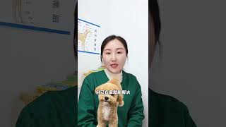 Can't Digest a Dog? Watch This Shocking Truth