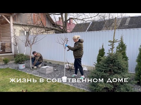 🐶ЛЕЖАНКА ДЛЯ СОБАК СВОИМИ РУКАМИ🐶🪺РАЗРУШИЛИ ГНЕЗДО НА ДЕРЕВЕ🌳ДЕЛА ВО ДВОРЕ ПРОДОЛЖАЮТСЯ