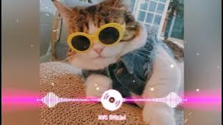 Ta ta tá ta tà.tà.tà.... Hot TikTok Mới Nhất - (NVC ) ...