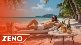 Zeno Vs. Narcis - Astia Care Stati La Panda Remix