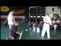 Karate Baseball Bat Break - Premier Martial Arts