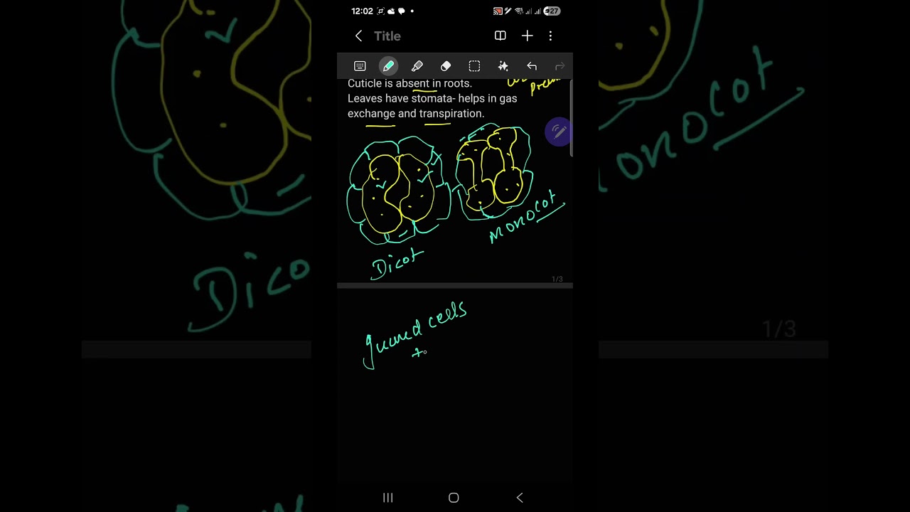 EPIDERMAL TISSUE SYSTEM 