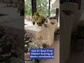 welcoming spring with a lovely tablescape full of hydrangeas and cand...