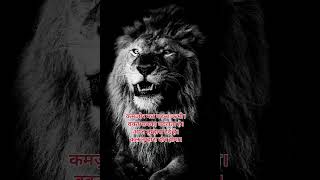 #darkmotivation #sigma #mindset #selfdiscipline #attitude #grindset #mentalstrength #pain #alone
