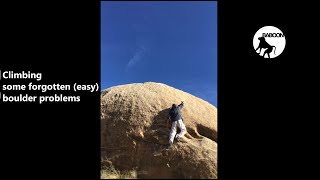 Adan Morales climbing forgotten boulders in Jtree