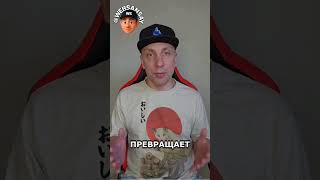 Каждый день в ленте без команды и монтажа? Это реально! 🚀 #автоматизация #контент