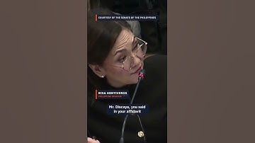 Curlee Discaya admits bribing QC officials for flood projects