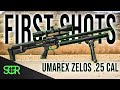 Exclusive with the new umarex zelos  50  75 yard accuracy results  first on youtube