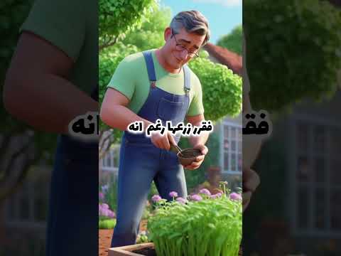 من بذرة إلى شجرة 