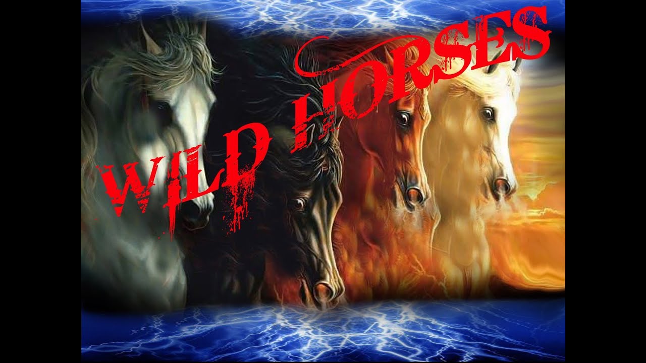 WILD HORSES BAND YouTube Wild horses band youtube