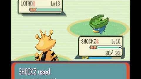 Pokemon Emerald RANDOMIZER NUZLOCKE: Part 10 "Box Vision"