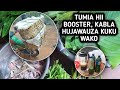 Tumia Hii BOOSTER Kabla Ya Kuuza Kuku Wako Wanenepe Haraka Ndani Ya Siku Chache 