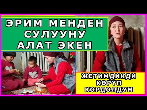 Video: Мышыктын үйү куту