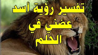 تفسير رؤية الأسد يعضني في الحلم  Interprétation de voir un lion me mordre dans un rêve
