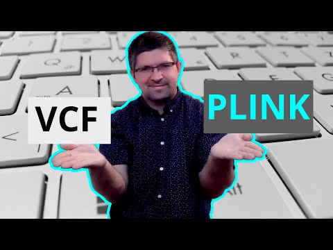 Convert between PLINK to VCF file formats (Remake)