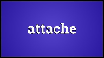 Attache Meaning