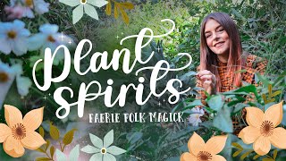 10 Plant Spirits  Faerie Folk Magick in a Green Witch's Garden