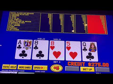 College student used his last $2000🤯 #casino #stake #gambling