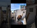 arte urbano en Geldo