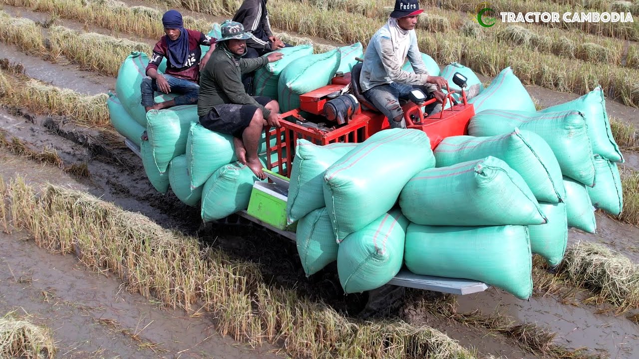 Ingenious Invention Rice Transport Machine | Best Driving Skill Work ...