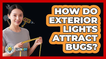How Do Exterior Lights Attract Bugs?