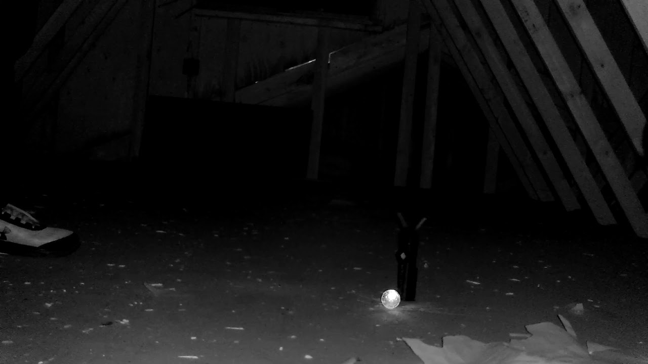 The Primitive Crow Antique Shop