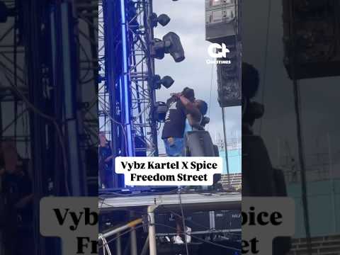 Vybz Kartel X