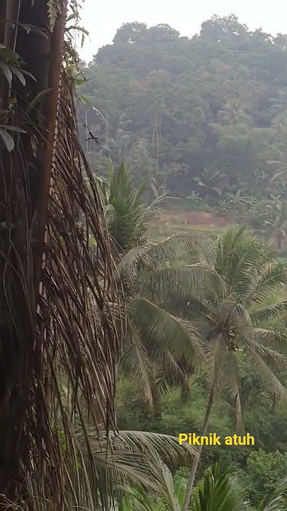 piknik atuh #piknik #kampungsepi #storywa #hiburan #comedy #story #shortvideo #automobile