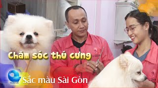 Nghề chăm sóc thú cưng | Trải nghiệm một ngày làm việc tại spa chăm sóc thú cưng | Sắc màu Sài Gòn