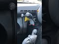 The #mini cooper got a #funny new add on! This lil penguin adds at least 5 #horsepower