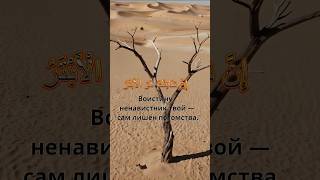 Сура аль-Каусар | Изобилие | Чтение Корана на русском  #quran #islamicvideo