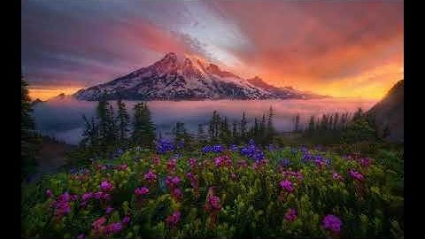 سورة ياسين بصوت القارئ عبد البارئ الثبيتي