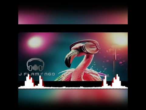 حمد العماري مو لي  