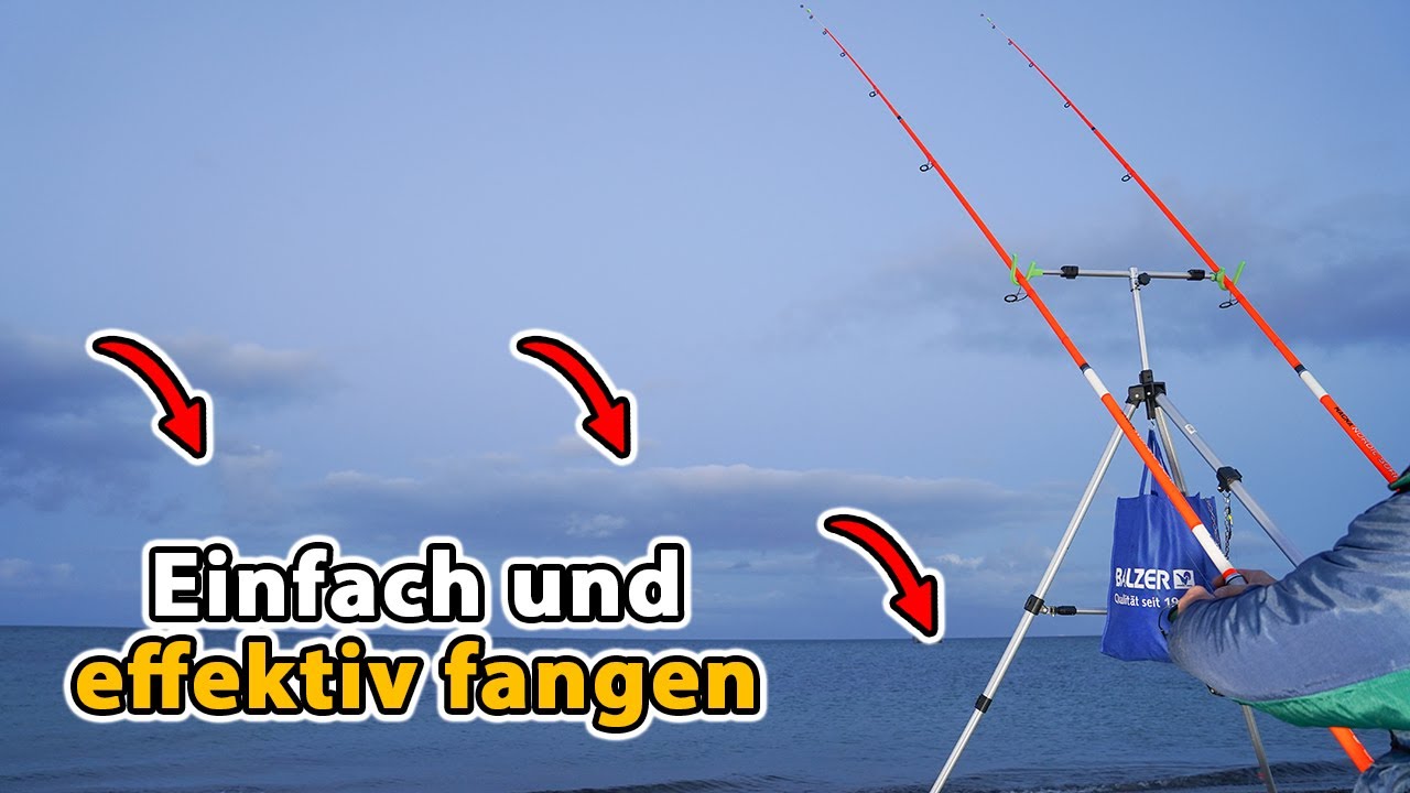 Brandungsangeln: Erfolgreich auf Plattfisch und Co. (Fisch zieht Rute ins Wasser 😂)