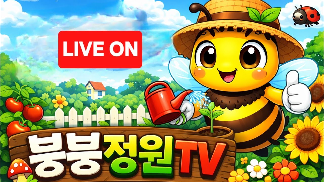 붕붕정원 🌵🐰 라이브 방송