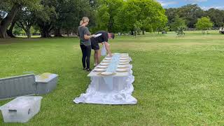 DIY PICNIC SETUP