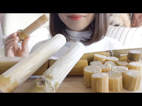 【咀嚼音】みんなからの偏見に回答しながらさとうきび食べるよ【ASMR/EATINGSOUNDS】