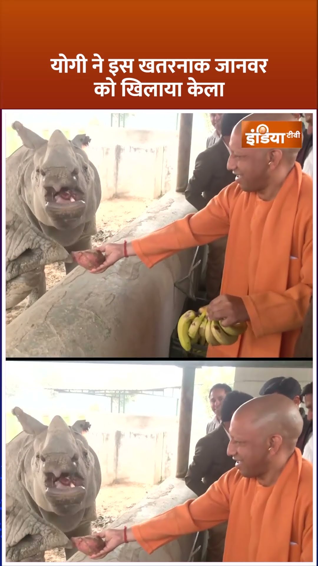 #cmyogi ने इस खतरनाक जानवर को खिलाया केला #mahakumbh2025 #prayagraj #shorts #sanatandharma #hindu