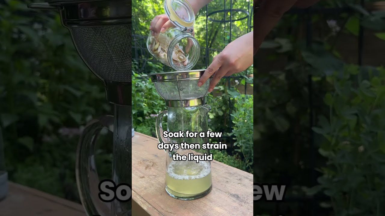 Keep The Pests OUT With This Super Easy All Natural Garlic Spray Garden Pest Recipe