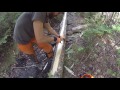 Building a Bog Bridge on a Hiking Trail