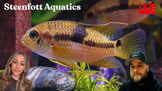 Steenfott Aquatics LIVE Aquarium Chat: Ask Anything, Let’s Talk Fish