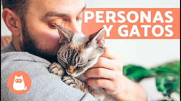 ¿Qué atrae a los gatos de los humanos?