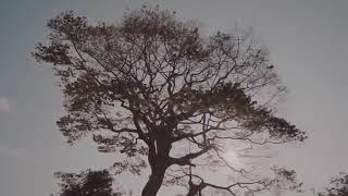 Lagu haredaung terbaru 😊
