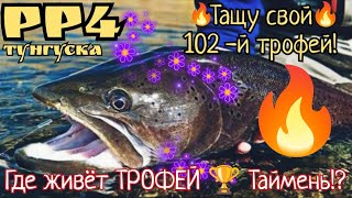 РР4.Нижняя Тунгуска. Где и на что я поймал Трофей Таймень!?