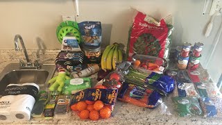 Weekly Grocery Haul | Meal Plan For One | WFPB | $50 Weekly Food Budget